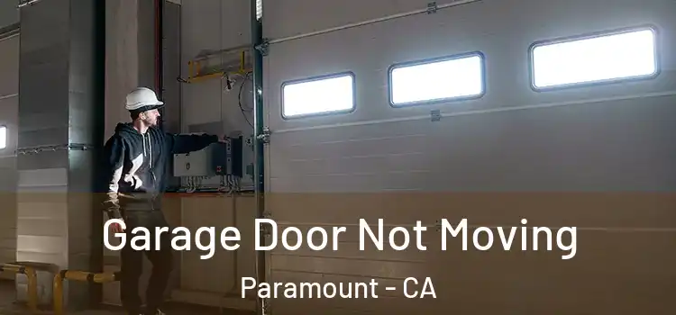  Garage Door Not Moving Paramount - CA