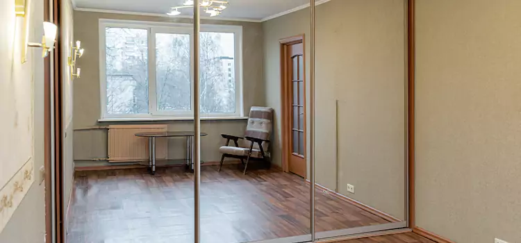 Mirror Closet Door Roller Replacement Paramount