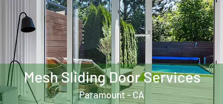 Mesh Sliding Door Services Paramount - CA